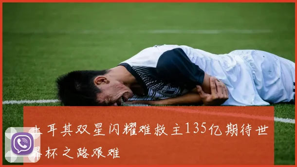 土耳其双星闪耀难救主135亿期待世界杯之路艰难