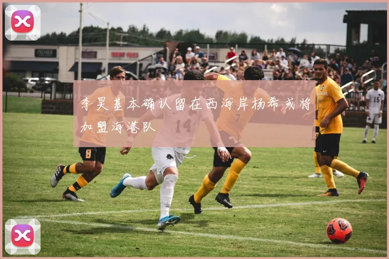 李昊基本确认留在西海岸杨希或将加盟海港队