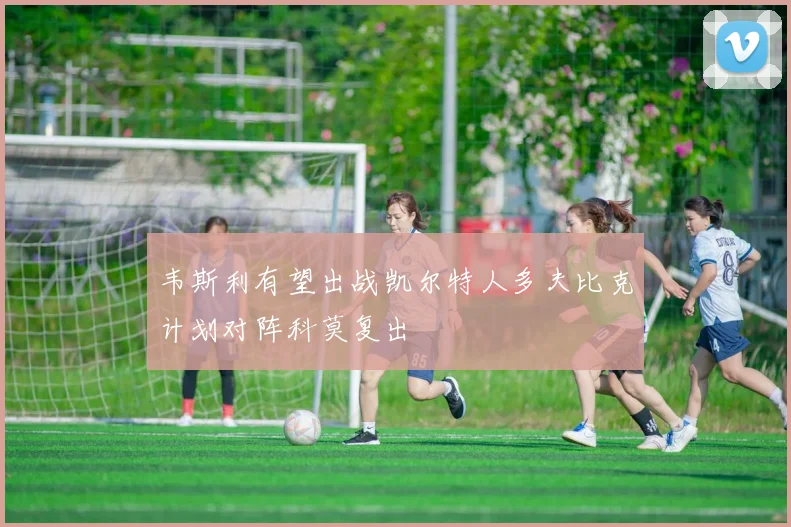 韦斯利有望出战凯尔特人多夫比克计划对阵科莫复出
