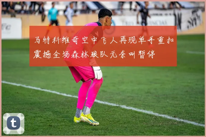马特科维奇空中飞人再现单手重扣震撼全场森林狼队无奈叫暂停