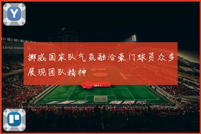 挪威国家队气氛融洽豪门球员众多展现团队精神