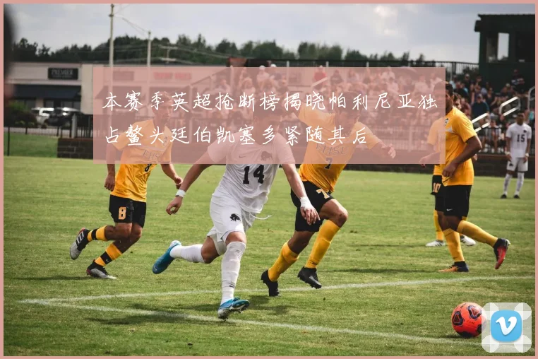 本赛季英超抢断榜揭晓帕利尼亚独占鳌头廷伯凯塞多紧随其后