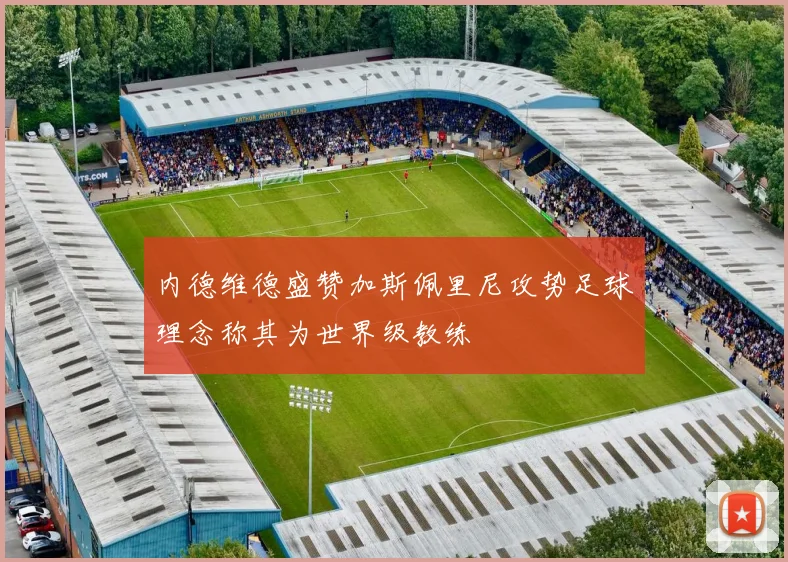 内德维德盛赞加斯佩里尼攻势足球理念称其为世界级教练